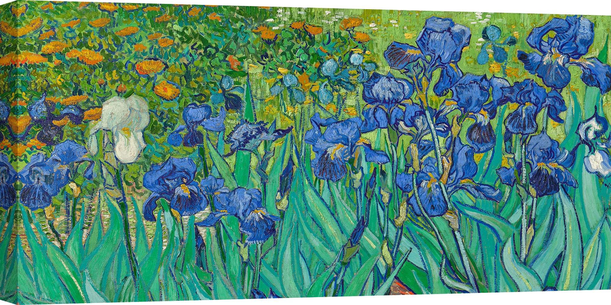Tableau sur toile. Vincent van Gogh, Iris