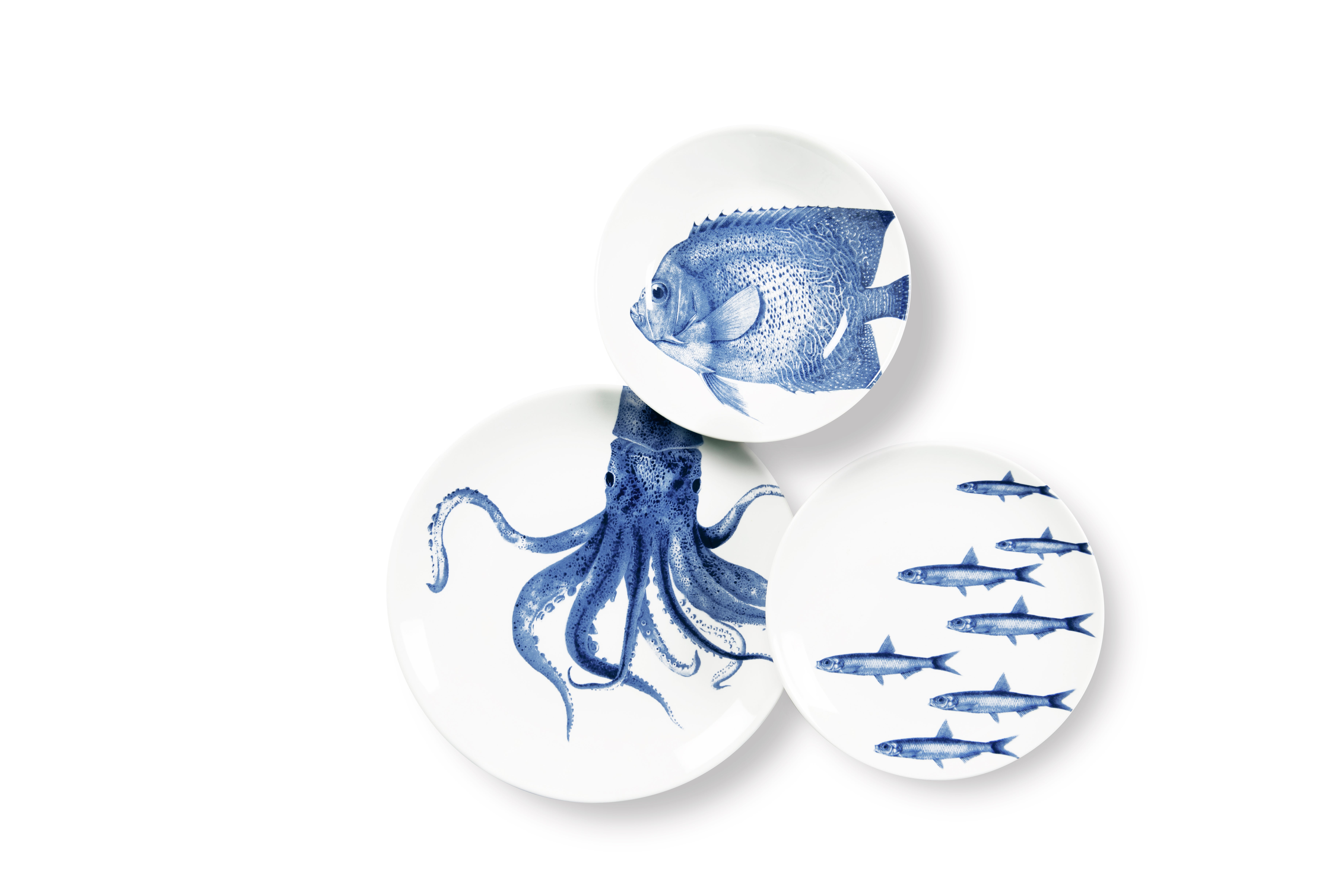 Excelsa servizio piatti 3 pezzi Faune&flore ceramica blu | Leroy Merlin