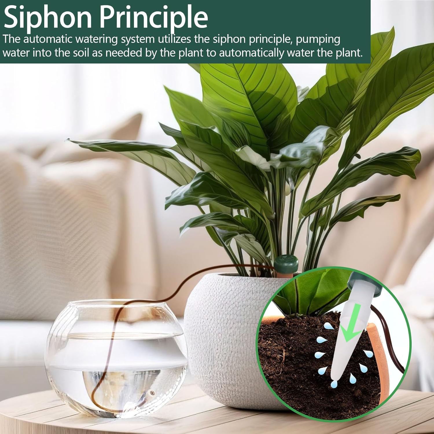 12 cônes d'auto-arrosage automatique pour plantes et fleurs d'intérieur jardin - 3