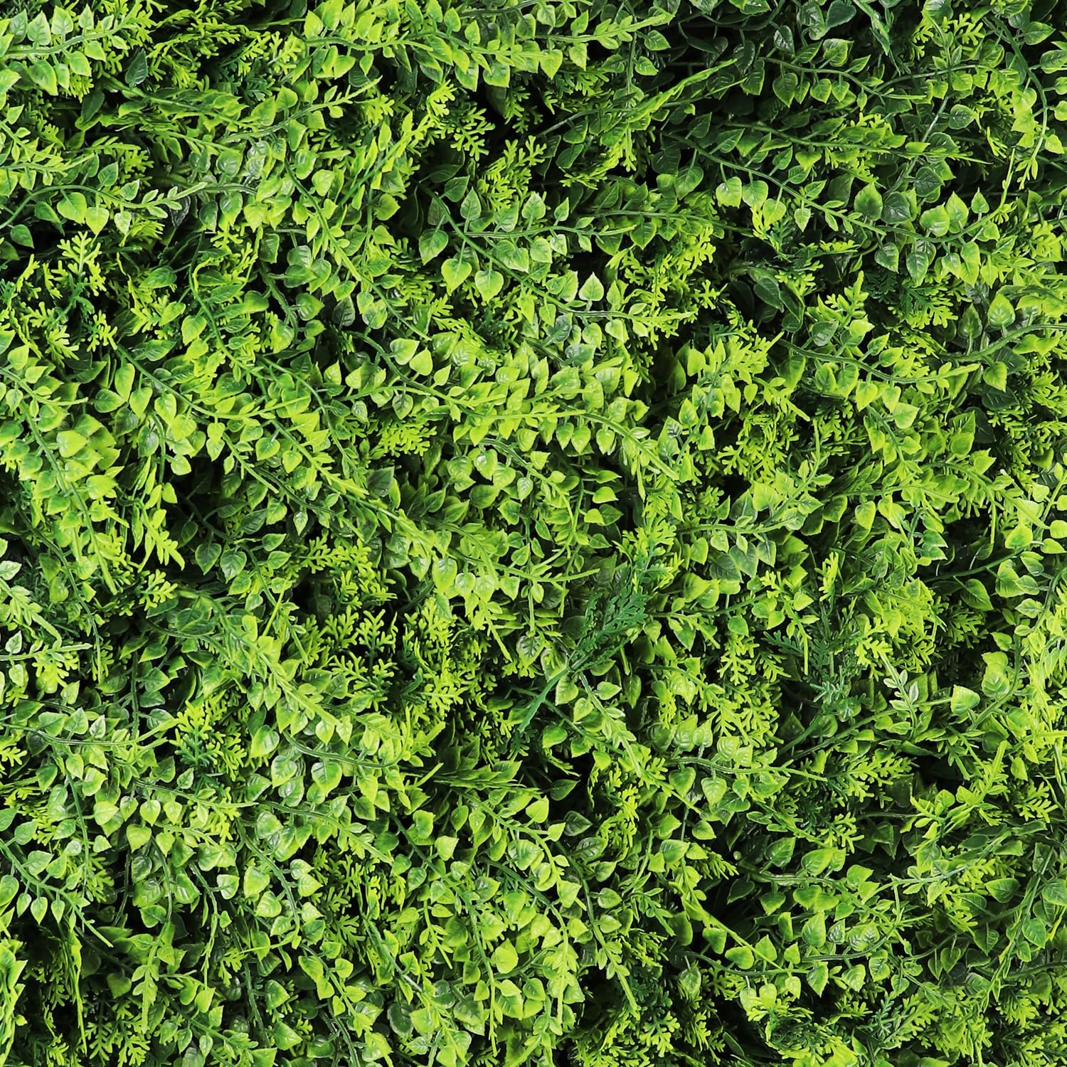Hojas artificiales de 50 x 50 cm, resistente a los rayos UV, para pared verde, césped, plantas artificiales para decoración de interior y exterior - 2