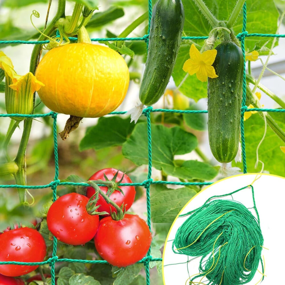 Red Blanca Red De Enrejado Para Plantas Para Escalar, Red De Enrejado De  Jardín Resistente Para Vid De Pepino, Melones Y Plantas De Calabaza, Red De  Enrejado, Plantas Trepadoras (1, 5.9 X, image size:1000x1000