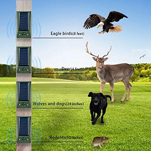 RéPulsif à Ultrasons pour Oiseaux en Plein Air pour Animaux avec Stroboscope de Mouvement et Alarme Anti-Intrusion - 6