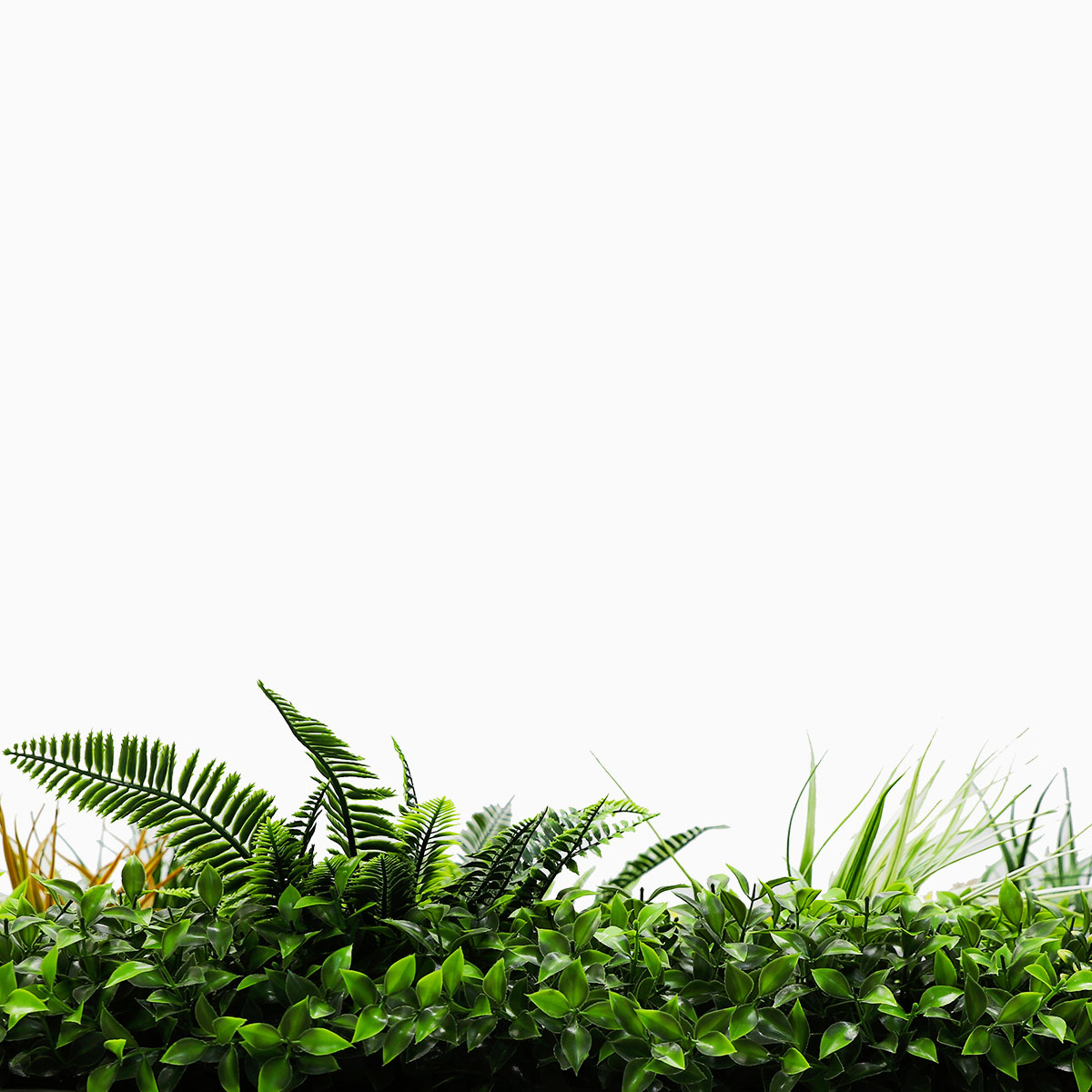 Plaque de 1m x 1m Mur Vegetale Artificiel Jungle MGS - 9