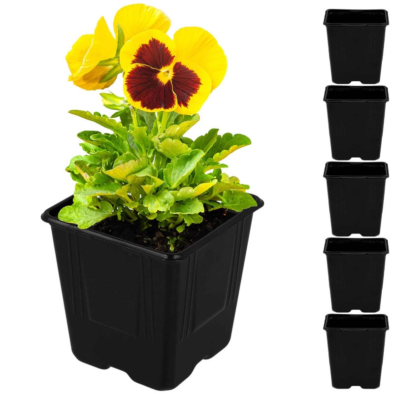 Doniczki rozsadowe kwadrat 11 cm zestaw 5 szt. - KOTARBAU