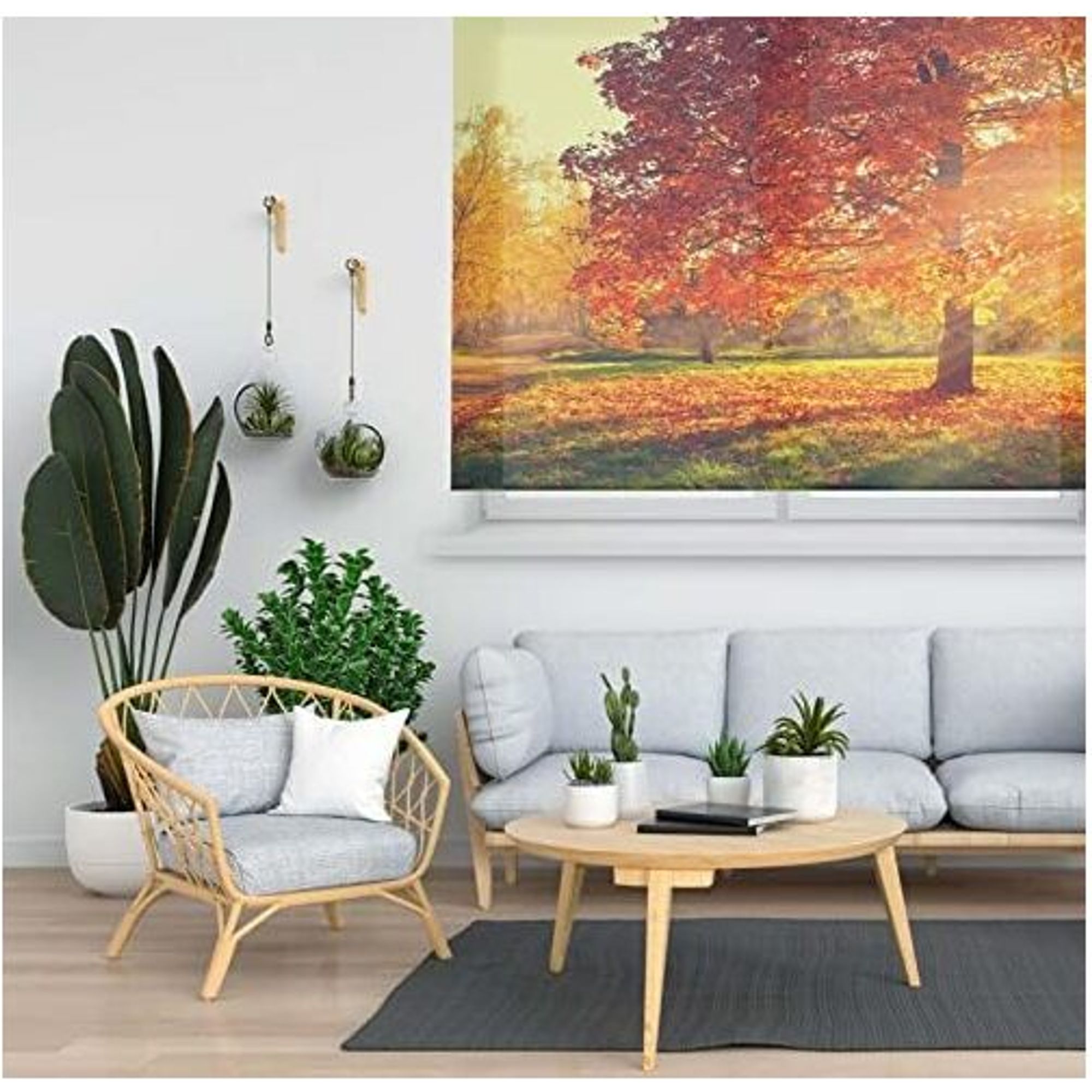 ECOMMERC3 | Tenda a rullo traslucida misura 110X180 - Tenda a rullo modello W-p-37235 - Tenda a rullo misura in tessuto 107x175 - 3