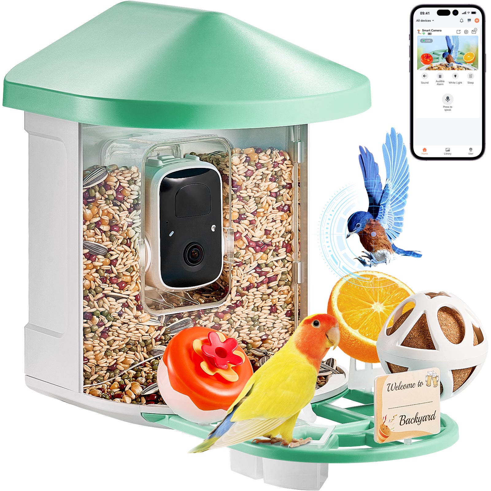 Caméra de Nourrisseur d'Oiseaux Intelligent,SucceBuy 2K HD,IA 10.000+ Espèces,Solaire,Capture Automatique,Notification,Vert,pour l'Extérieur - 3