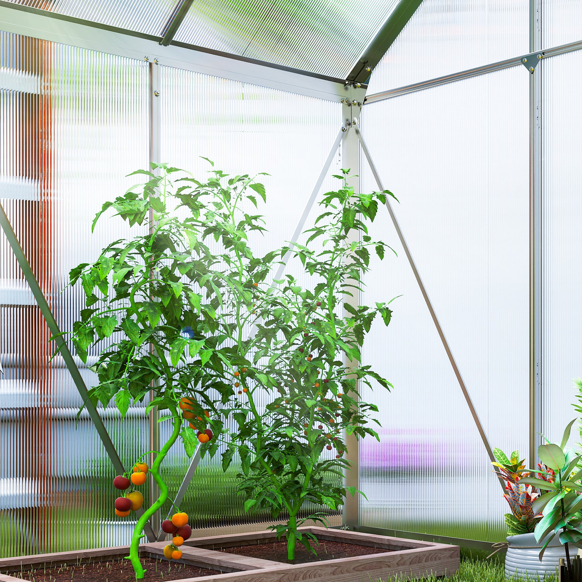 Serre de jardin polycarbonate Outsunny - 9