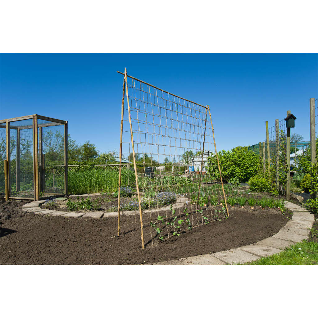 Rete Per Piante Rampicanti Bianca Rotolo Rinforzato In Pvc Maglie Larghe 16x14cm Tralicciata Per Piselli Fagioli Pomodori Orto Giardinaggio 2x50 Mt 91668031 Rete Per Piante Rampicanti Bianca Rotolo Rinforzato In Pvc Maglie Larghe 16x14cm Tralicciata Per Piselli Fagioli Pomodori Orto Giardinaggio 2x50 Mt 91668031