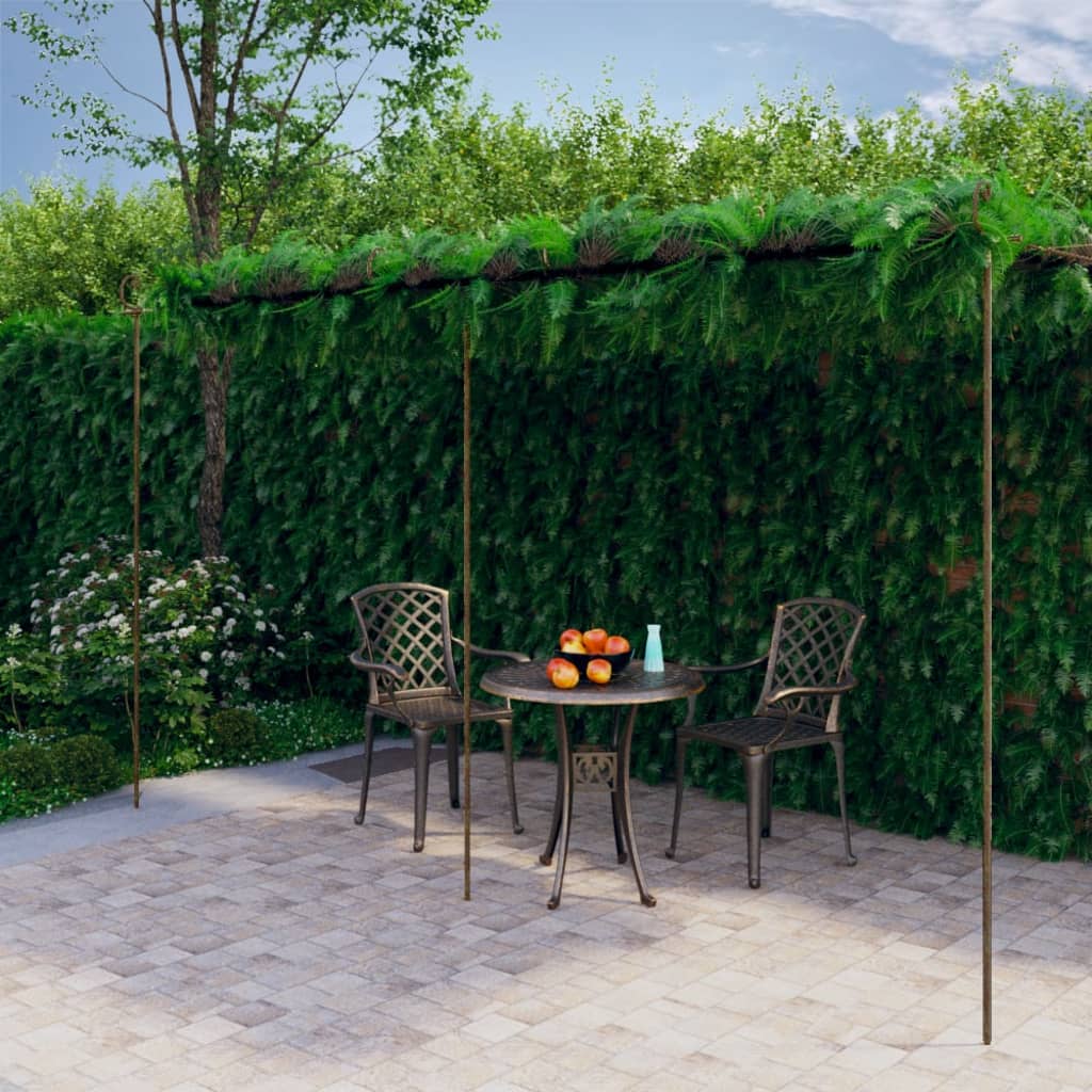 Pergola de jardin Marron antique 6x3x2,5 m Fer - 2
