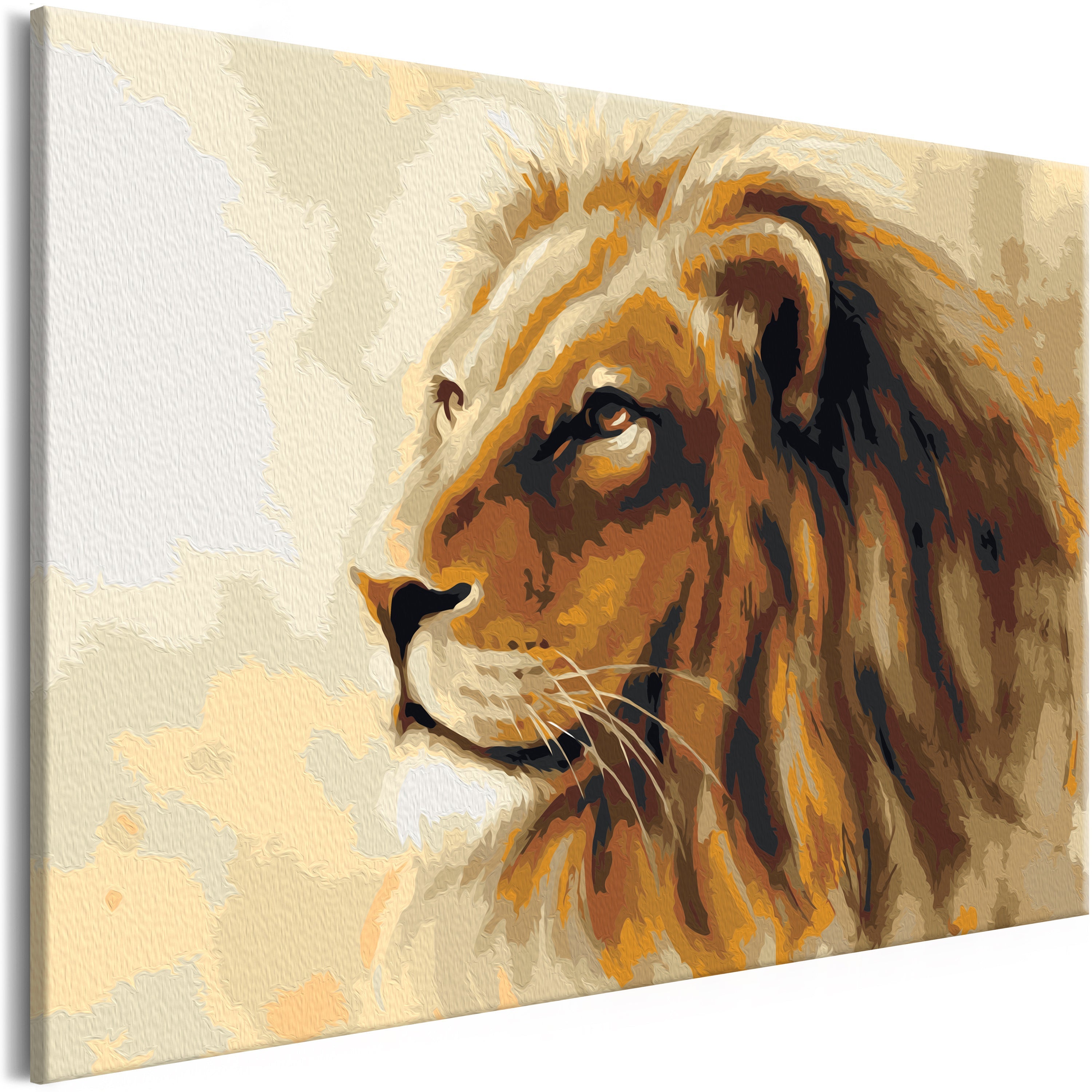 Dipingi con i numeri per adulti, 40,6 x 50,8 cm, fai da te, kit per