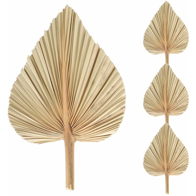 4 PièCes Feuilles de Palmier SéChéEs éVentails de Palmiers SéChéS BohèMe Lances de Palmier SéChéEs Plantes Artificielles Feuilles - 3