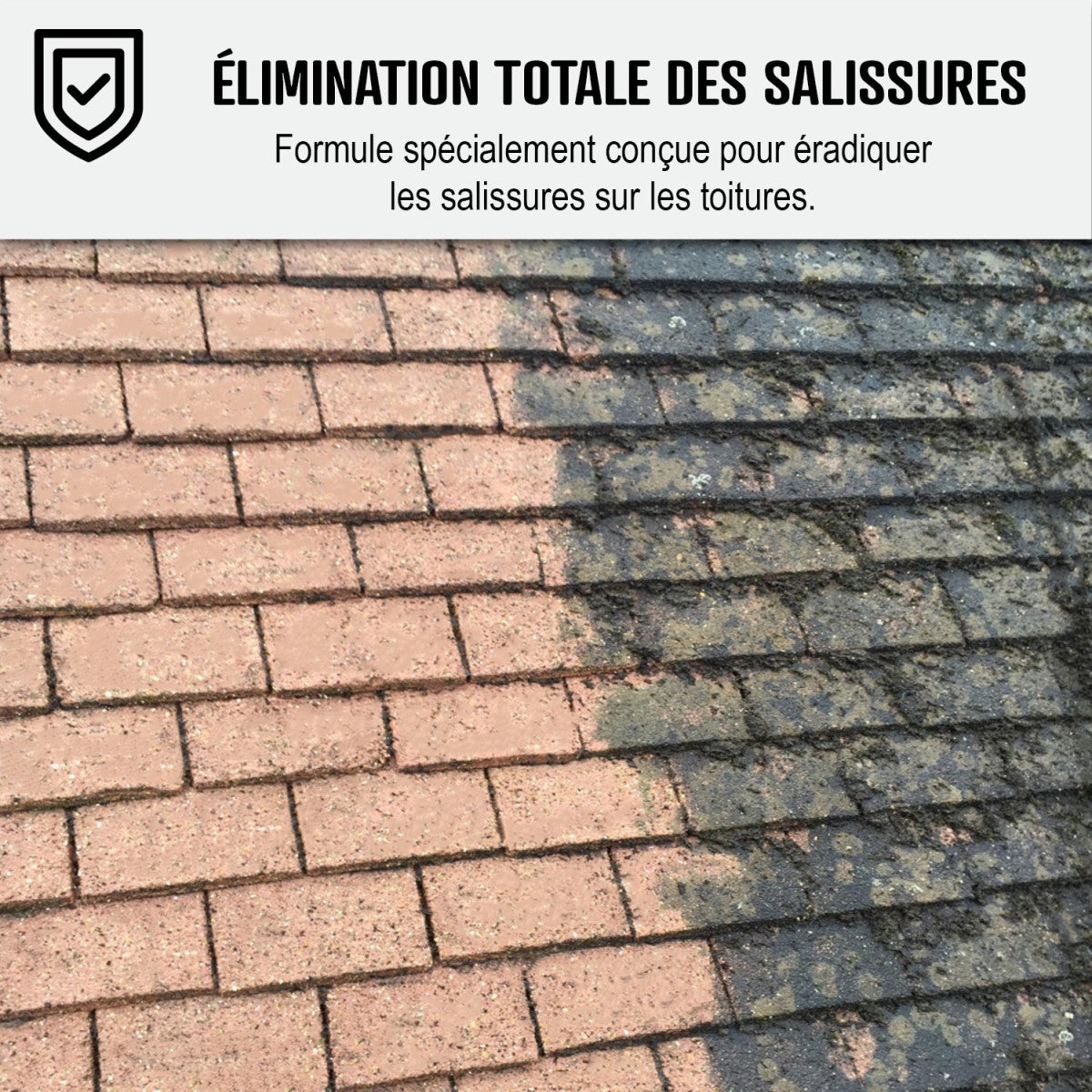 Nettoyant Toiture - Produit nettoyage toiture action rapide - 5 L - ARCANE INDUSTRIES - 9