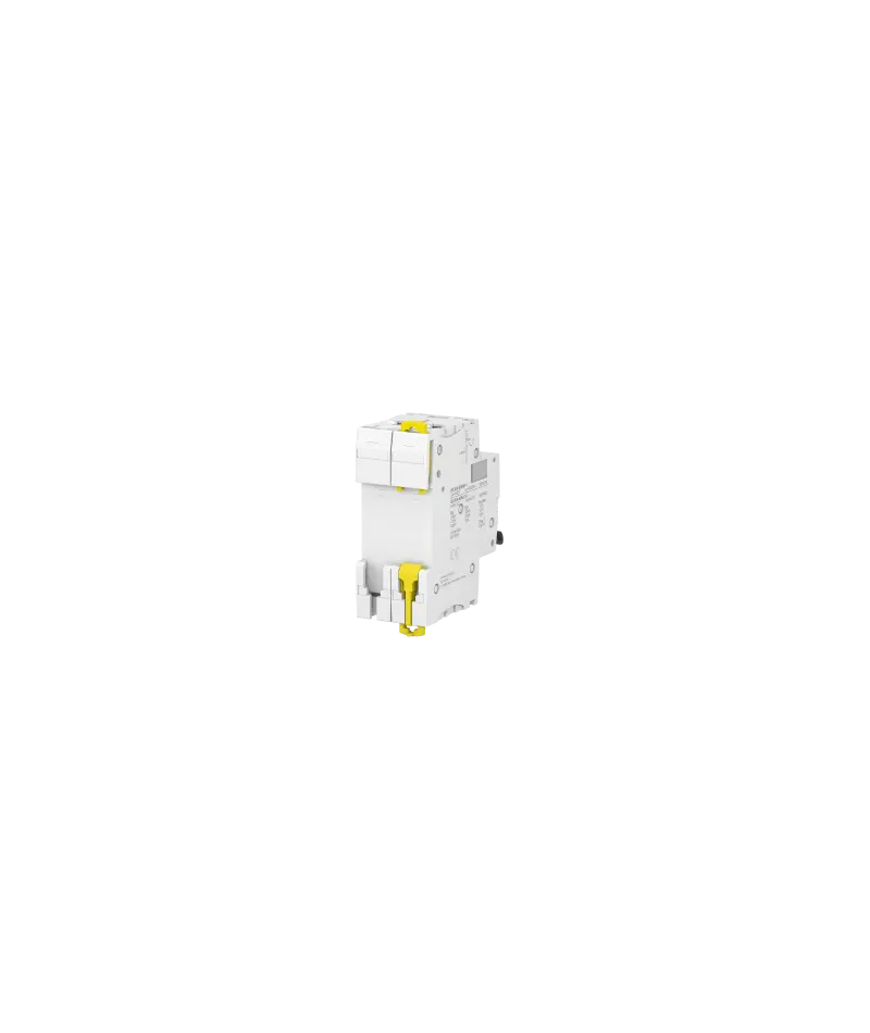 Disjoncteur 25 A - Acti9 - iC60N - 2P - Courbe C - 2