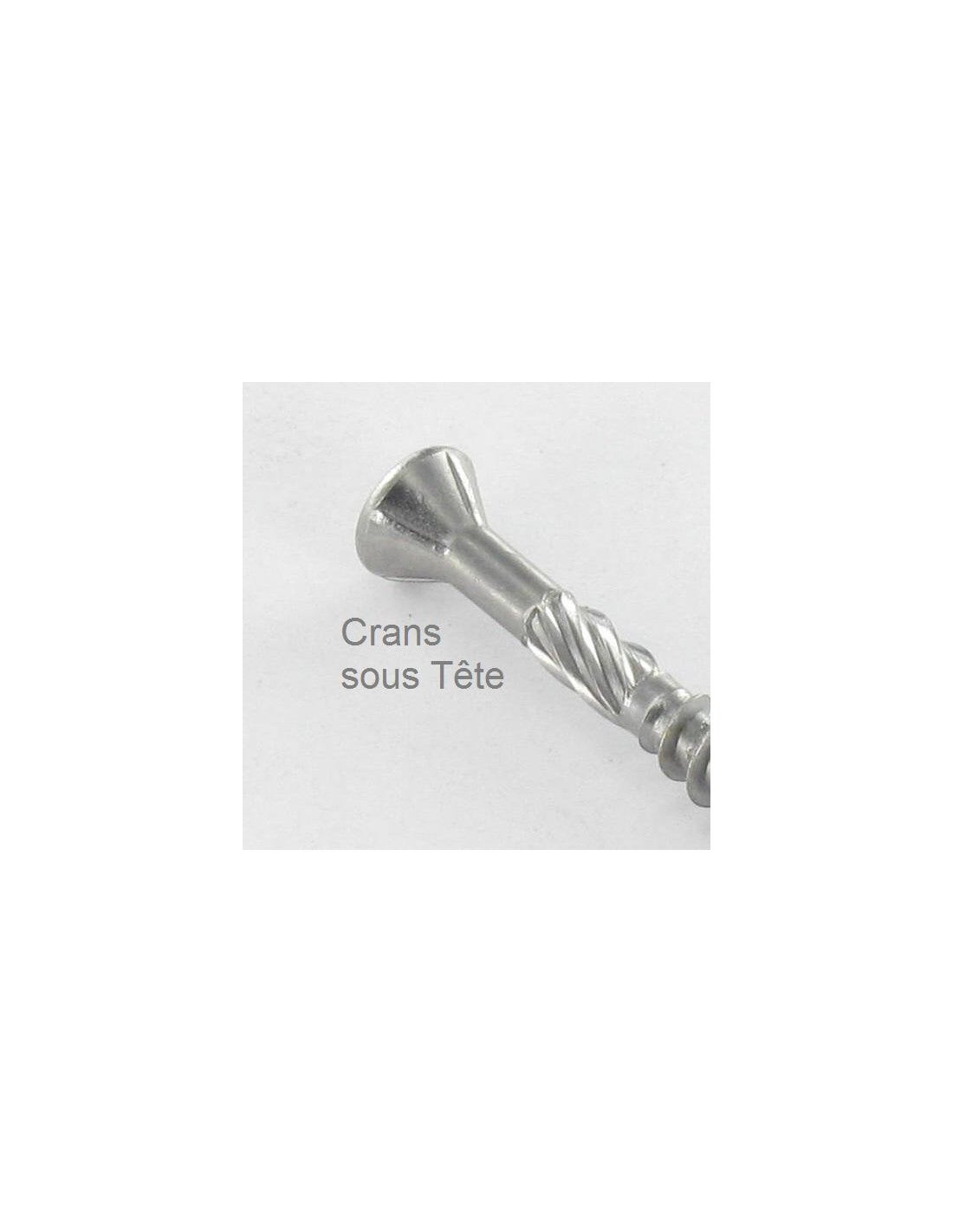 Vis DECK Tête fraisée bombée TFB TORX T20 4.5X60 Pointe antifendage type 17 Inox C2-10 pièces - 4