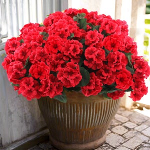 Lot De 4 Géraniums Artificiels, Bouquet De Fleurs Artificielles D Decoration Interieure Rose 98709682