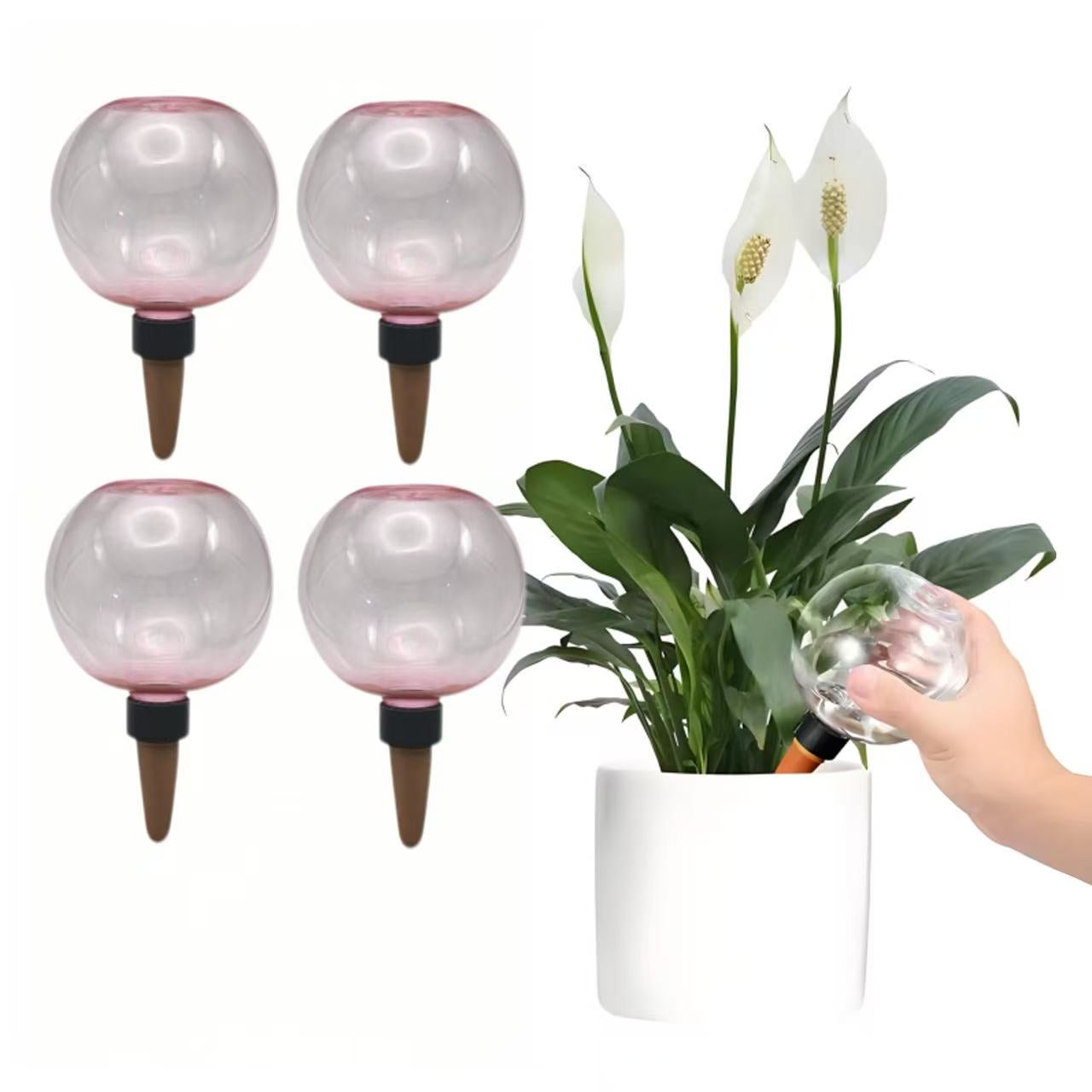 Dispositifs D'arrosage Automatique Fleurs Plantes égagent Champignon De