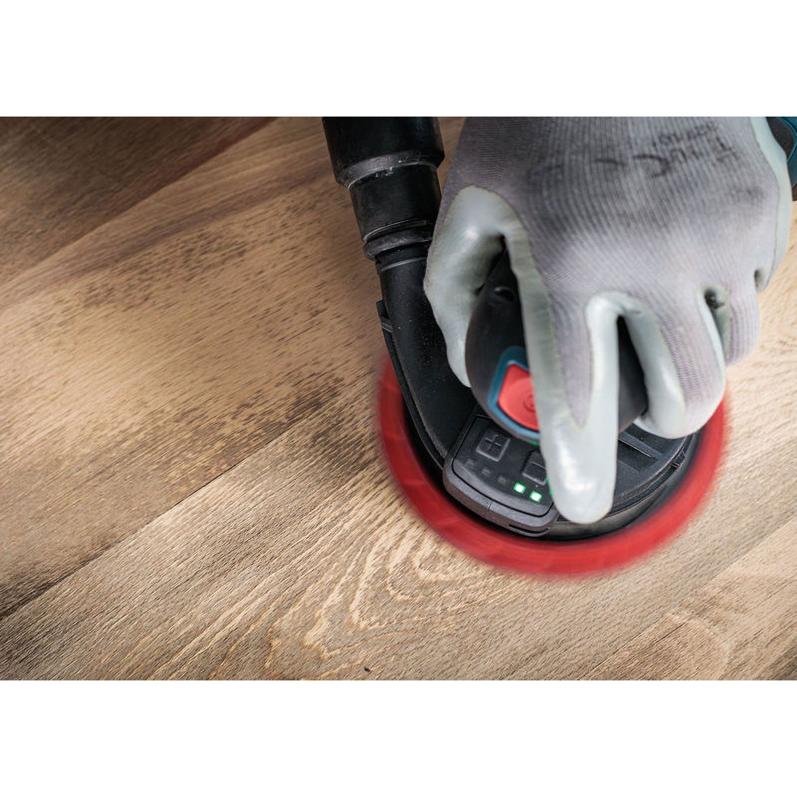 Bosch 1x Disco per levigatura EXPERT O780, 150 mm (per Legno duro, Vernice su legno, Ø 150 mm, Grano 80, Professional Accessorio levigatrice rotoorbit - 5
