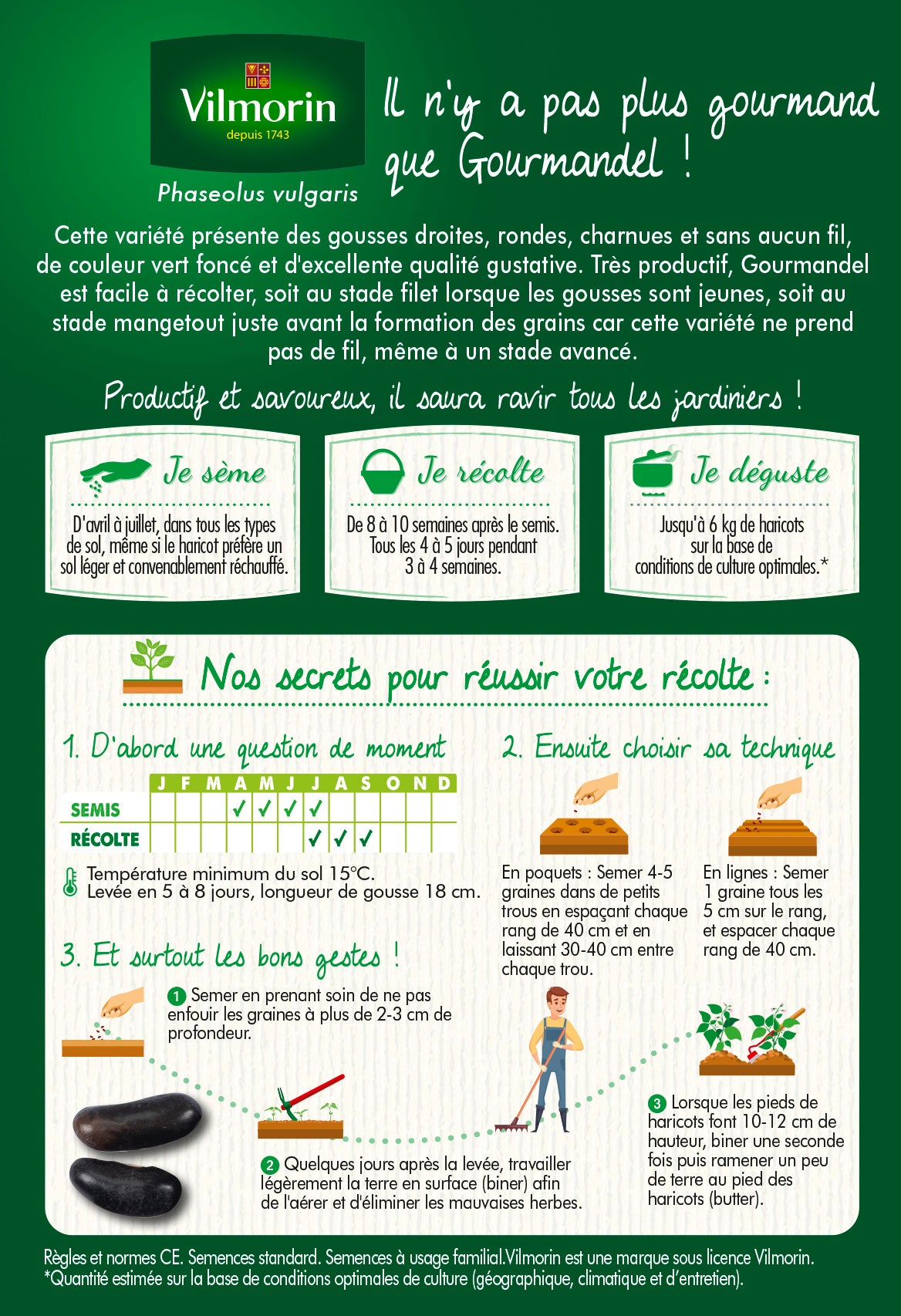 Haricot Nain Vert Gourmandel - 10 m - 2