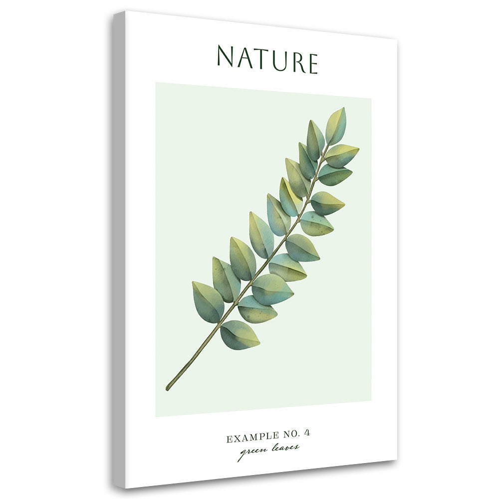 Obraz na płótnie, Zielone liście - Natura 60x90