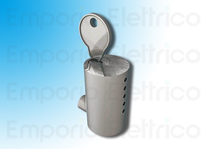 Cylindre de serrure Came KR001 pour portail et garage - 2