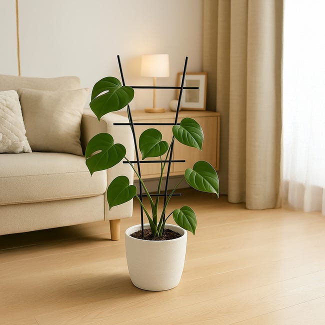 Tuteur Plante Métal Relaxdays Tuteur à Tomates En Lot De 2, Métal Tuteur Plante Métal Relaxdays Tuteur à Tomates En Lot De 2, Métal