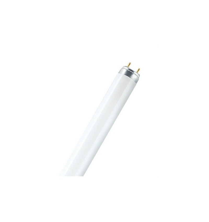Osram LUMILUX T8 ampoule fluorescente 58 W G13 Blanc froid - 6