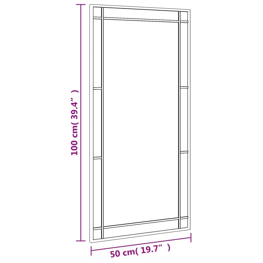 Maison Exclusive - Miroir mural noir 50x100 cm rectangulaire fer - 8