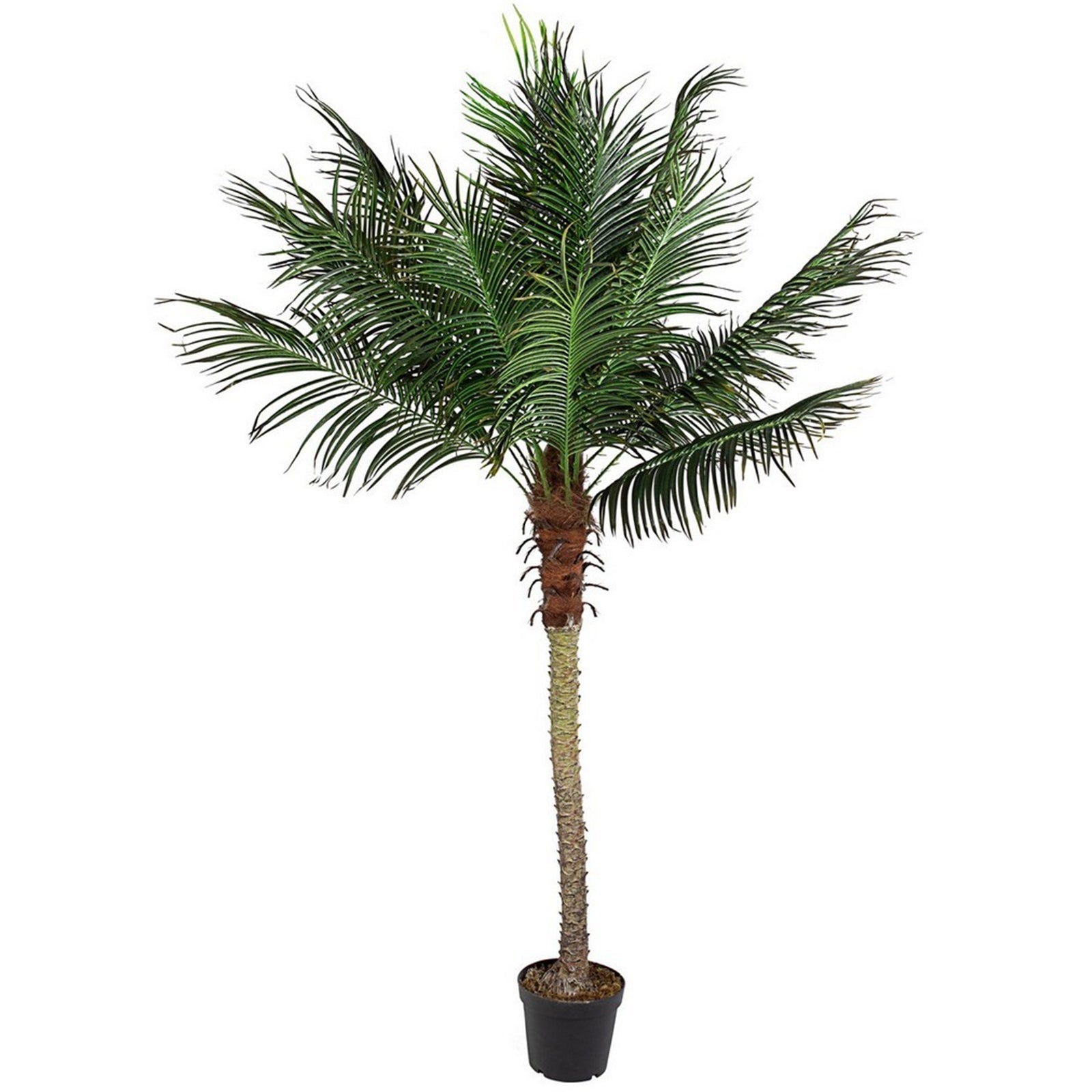 ML-Design Palma Artificiale 210 Cm Piante Artificiali Grandi Piante Finte Tropicale Pianta Artificiale Decorazione In Plastica In Vaso Per Interniesterni Albero Artificiale Come Vero Per Soggiorno 87001387 ML-Design Palma Artificiale 210 Cm Piante Artificiali Grandi Piante Finte Tropicale Pianta Artificiale Decorazione In Plastica In Vaso Per Interniesterni Albero Artificiale Come Vero Per Soggiorno 87001387