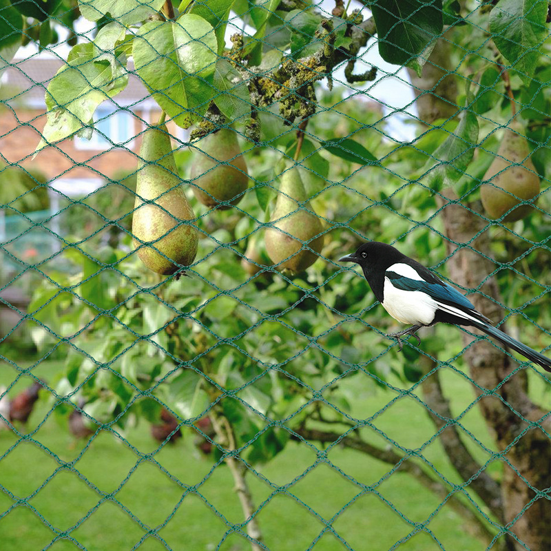 Rete Protettiva Per Stagno 3x4.2m - Protezione Da Aironi E Foglie - Con Picchetti - Maglie 2x2cm - Foto 4