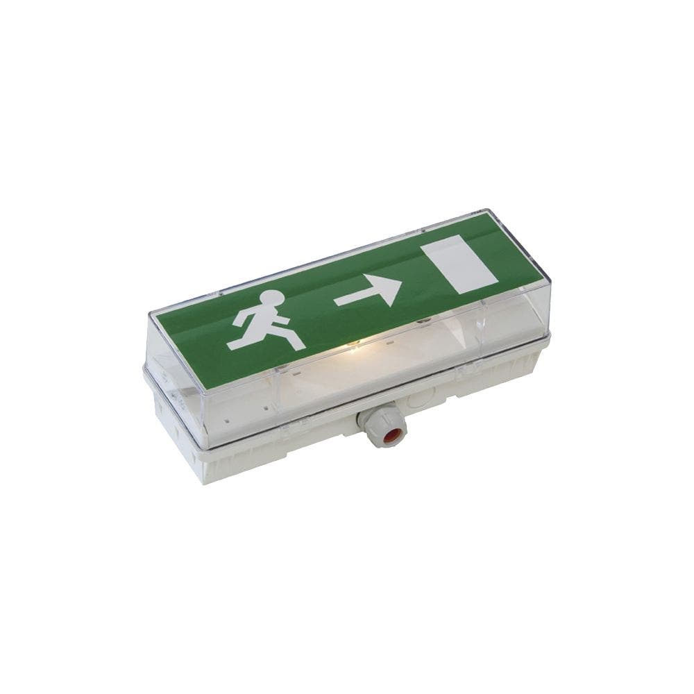 Eaton - BAES STD 65 C évacuation IP42 standard - LUM10102 | Leroy Merlin