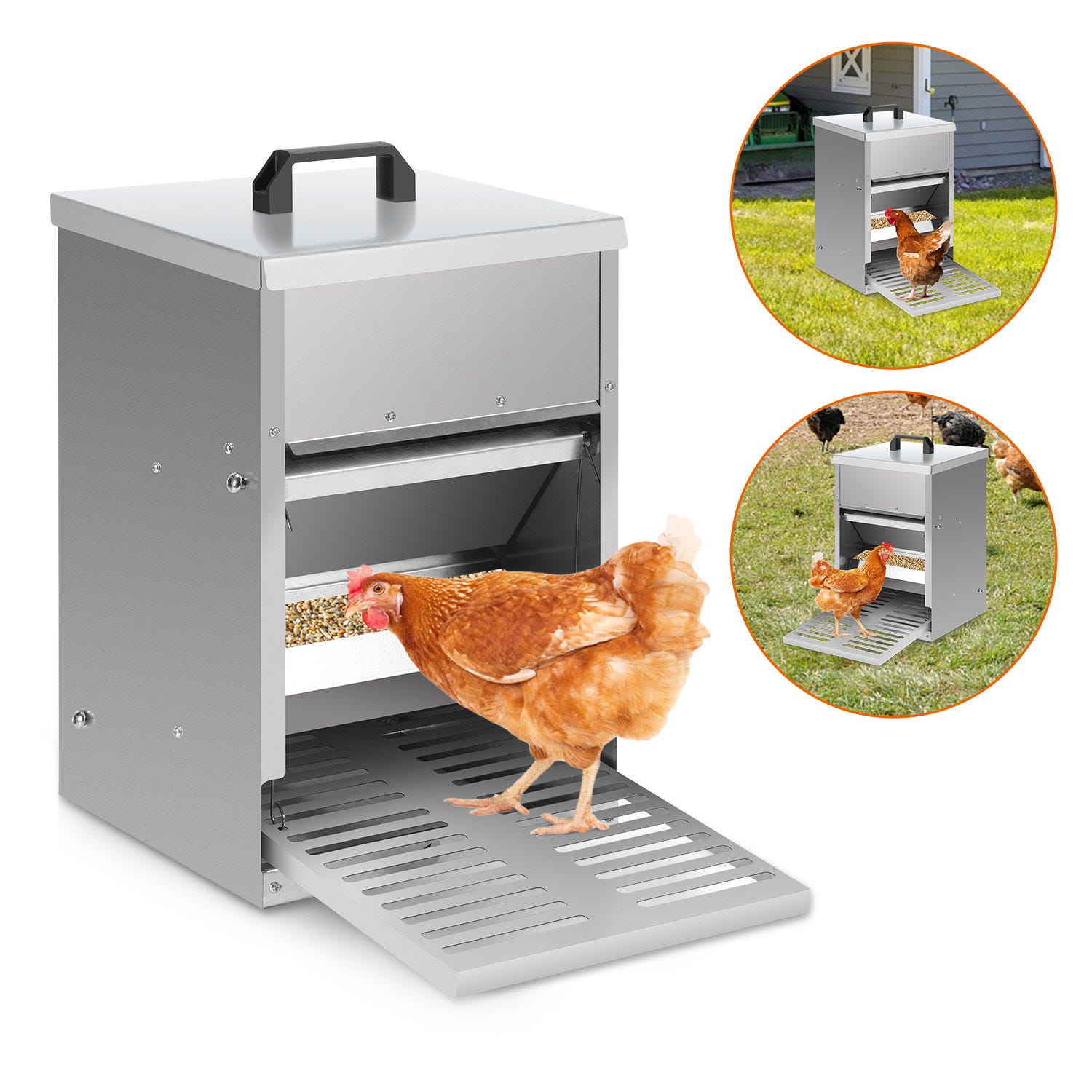 Sorflife Mangiatoia Per Uccelli A Prova Di Scoiattolo – Capacità 2,3 Kg, In Metallo E PC, 6 Aperture