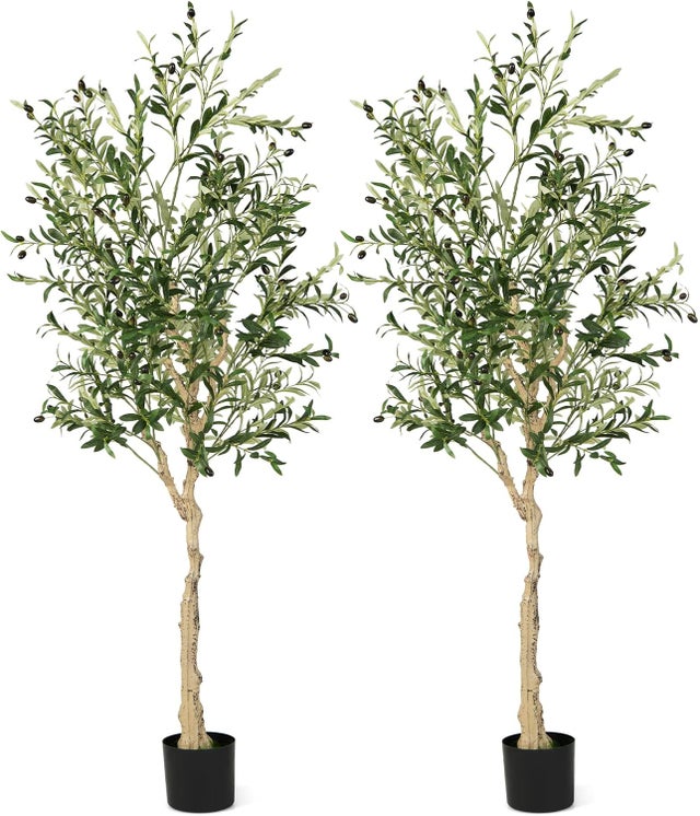 Modelli Di Plastica Da 12 Pezzi Alberi Modelli Architettonici Per Layout Ferroviario Paesaggio Del Giardino