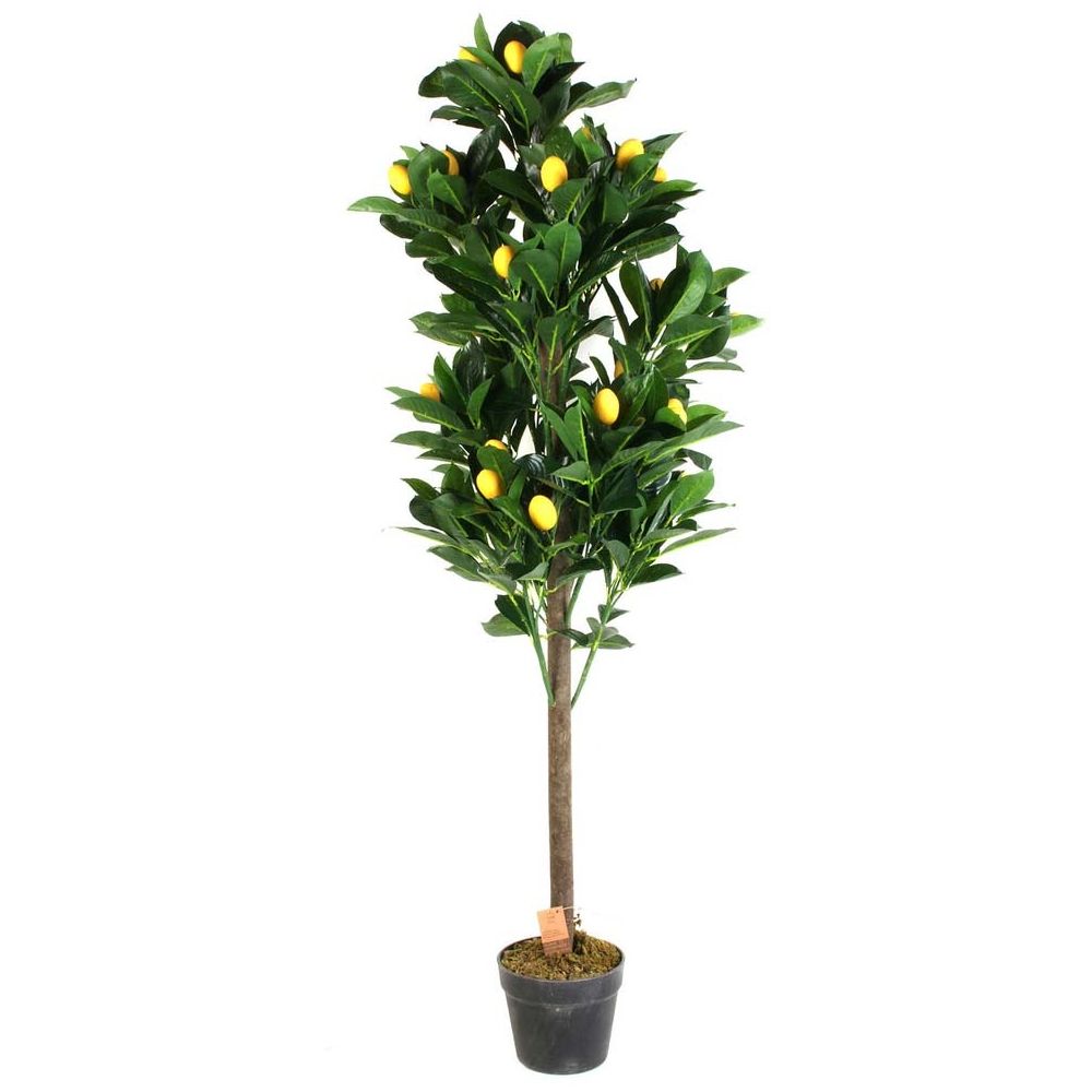 Plante Artificielle - Home Deco Factory - Citronnier - Vert Et Jaune - 6