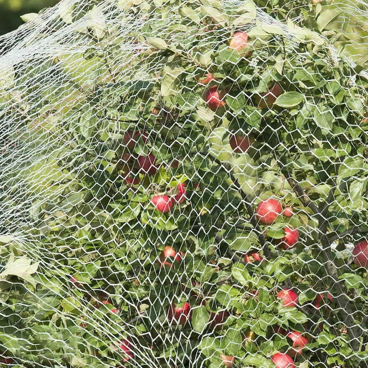 Filet Anti-Oiseaux pour Balcon 5x5 m - Protégez Piscine, Jardin et Balcon avec Filtrage Transparent Résistant - 3