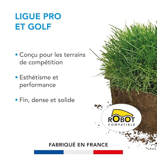 BARENBRUG - Gazon Ligue Pro et Golf - pour Terrains de Compétition - Esthétisme, Performance - Fin, Dense, Solide - 5KG - 2