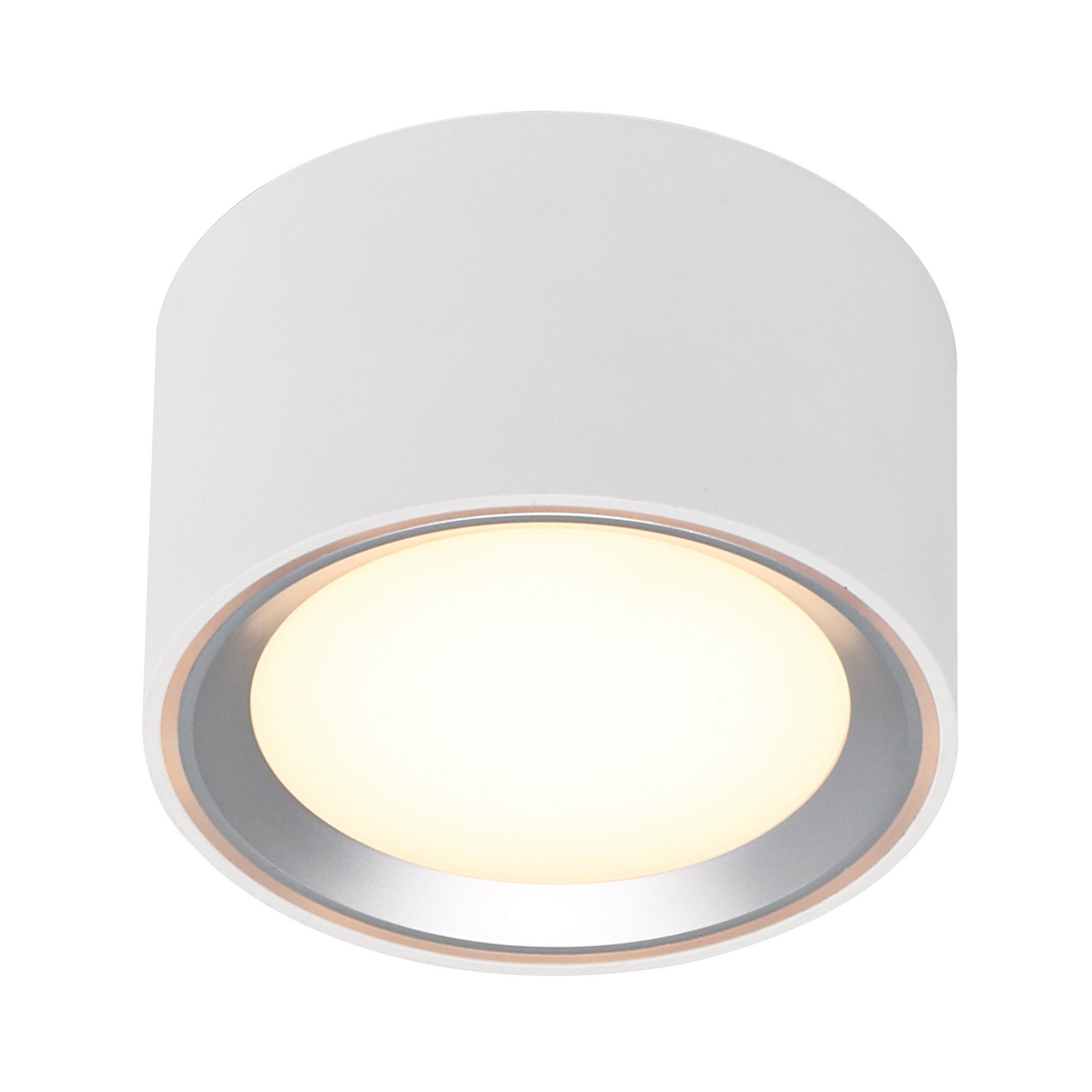 Surface spot FALLON Métal Blanc/Acier, H.6 - IP20 - LED Module /Nordlux Intérieur - 4