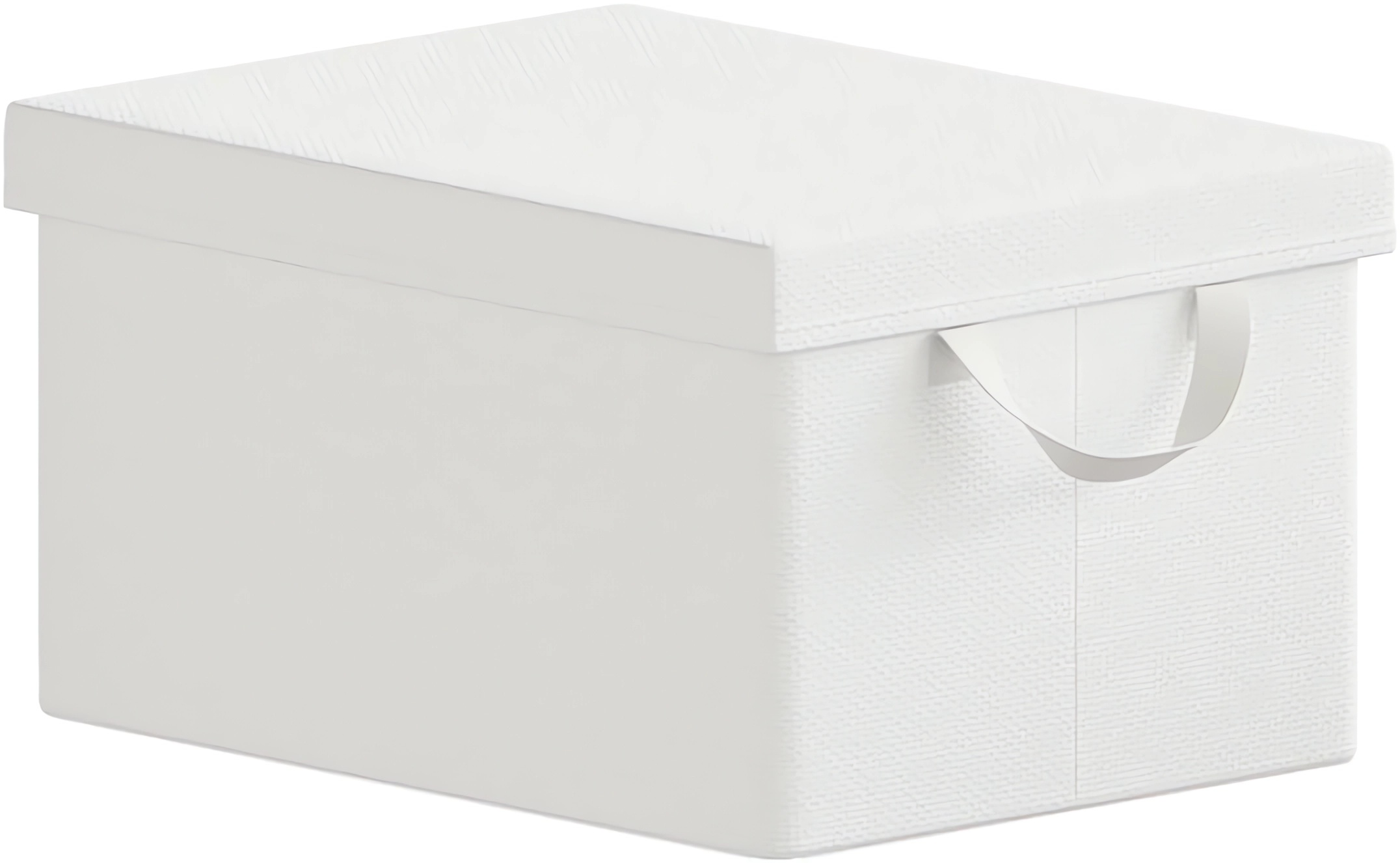 Lot de 1 Boîte de Rangement WOLTU, 48x29x20 cm, avec Couvercle, Coffre