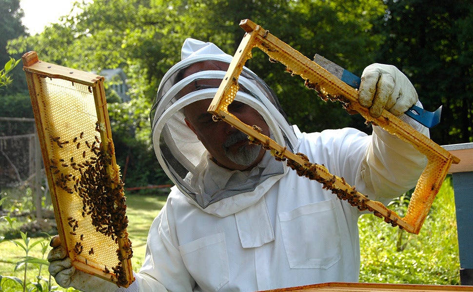 Combinaison anti-abeille épaisse blanche, gants en peau de mouton, combinaison d'abeille fendue une pièce pour abeilles, XL, combinaison d'apiculture - 6