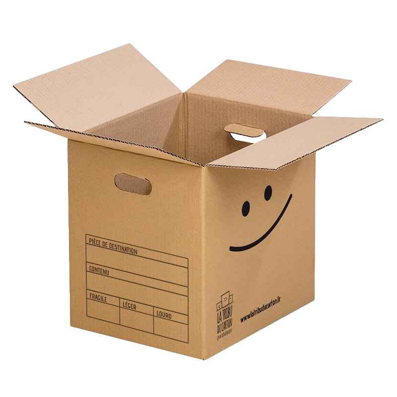Pack 15 cartons à livres avec poignées + 1 adhésif offert - 2