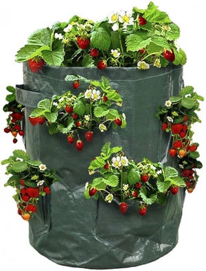 SRJQXH Sacchi per Piante 3 Pezzi Sacco Patate 10 Fori Vasi per Fragole Traspirante Verticale Sospeso per Fragole, Pomodori, Piante da Orto (Verde Scuro
