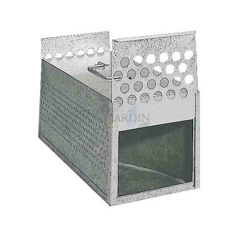 Gabbia Pieghevole Per Piccioni Qianly – In PP, Con Maniglia, Per Interni Ed Esterni, Dimensione M 60x40x25 Cm, Traspirante E Facile Da Pulire