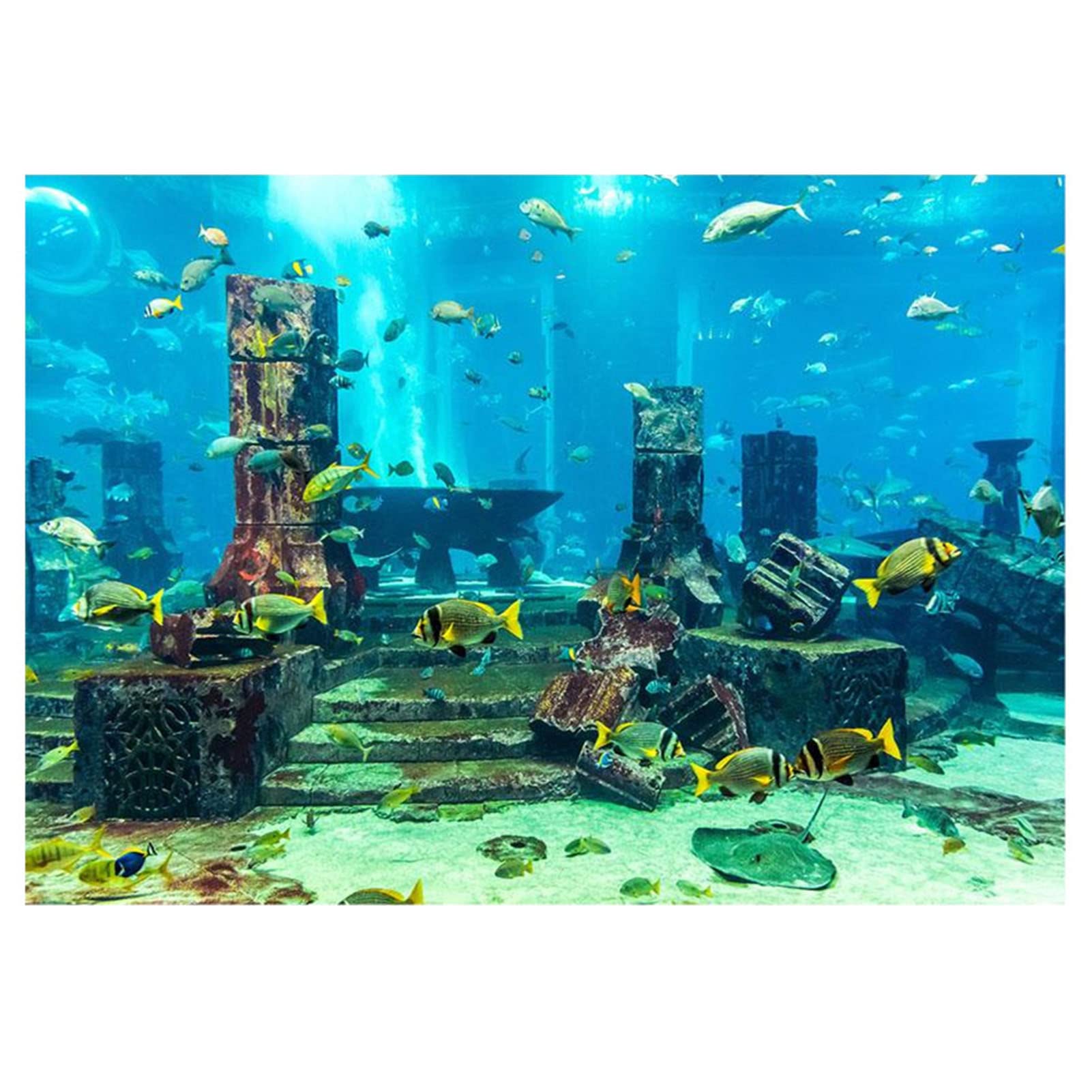 Sfondo Per Acquario Static Cling - PVC, Nero, 30x200cm O 40x200cm, Senza Colla