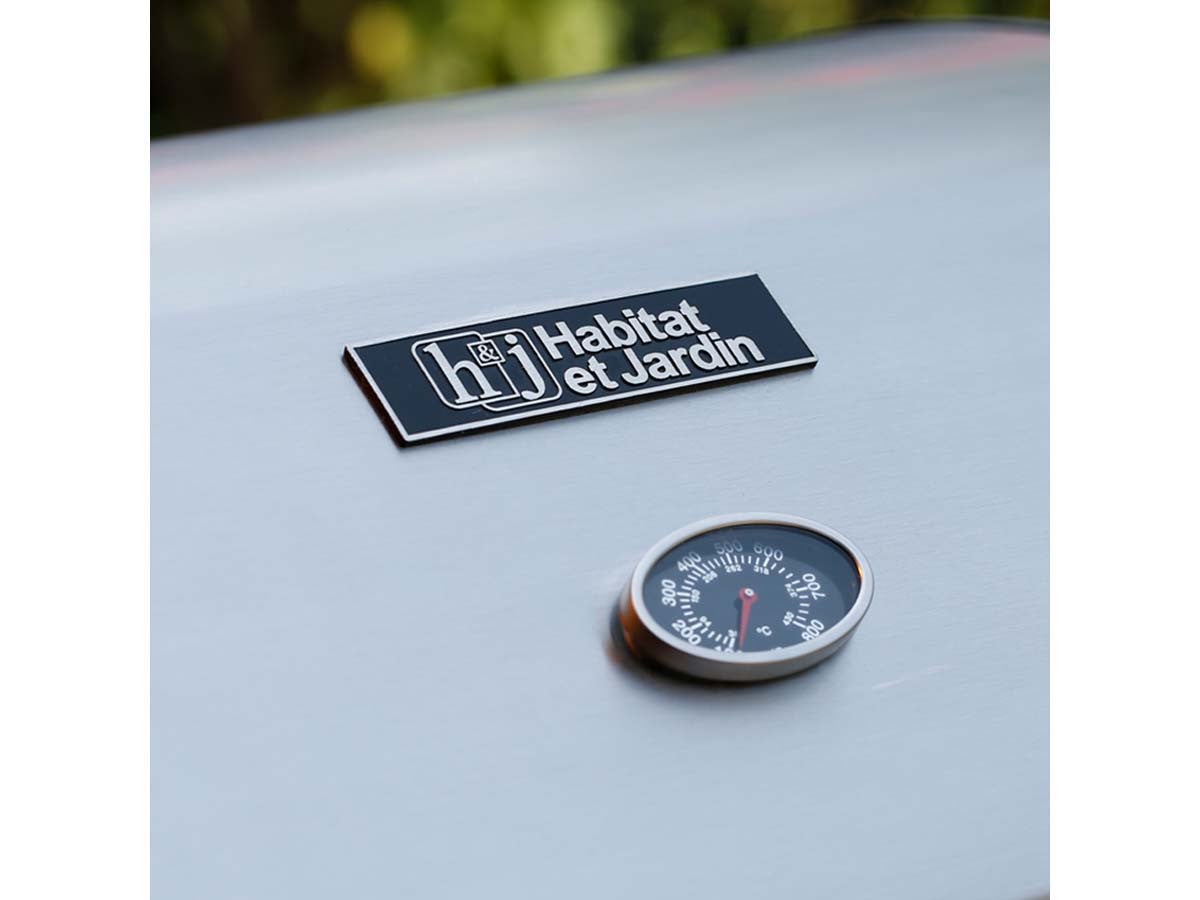 Barbecue a gas 