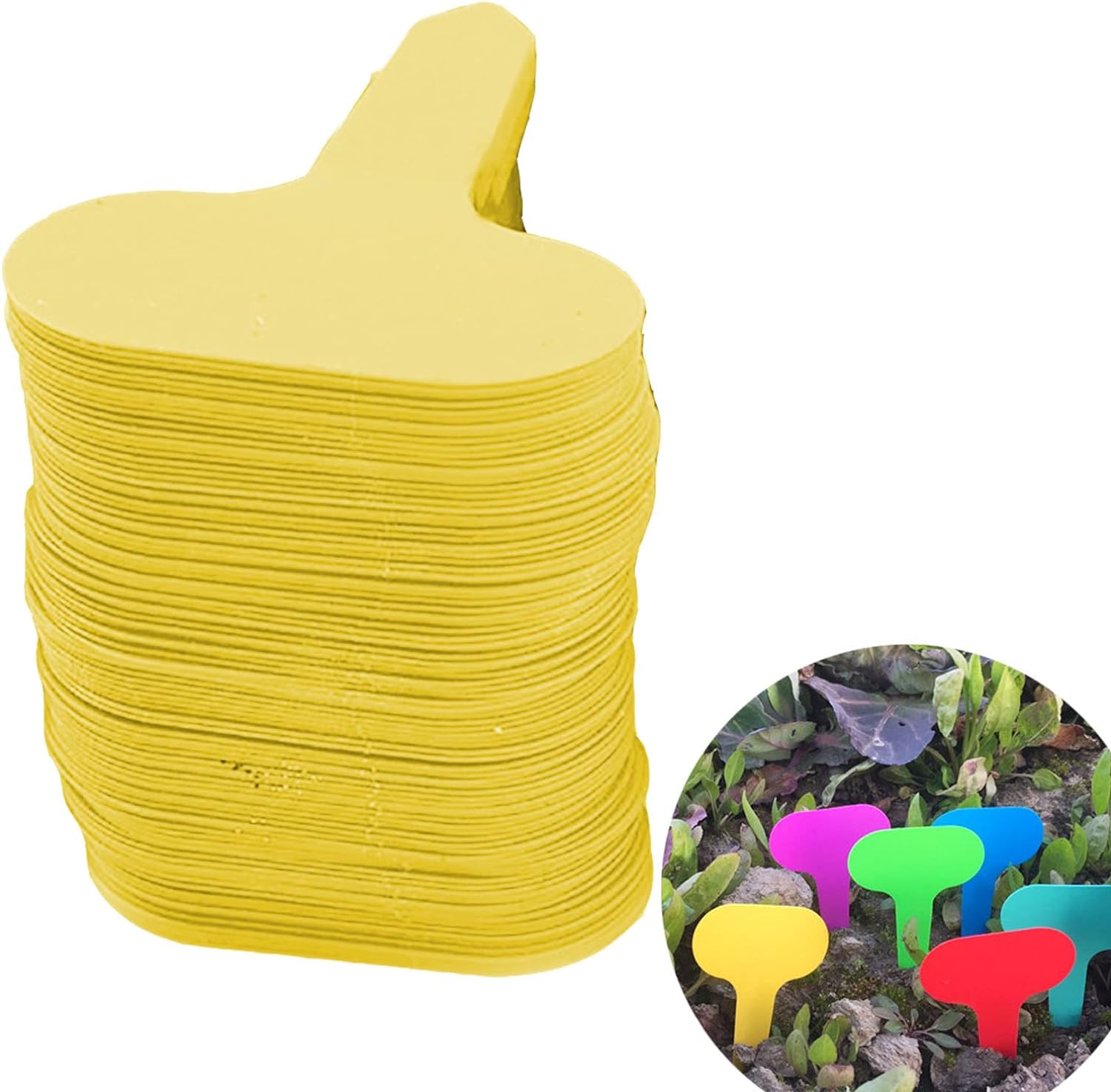 1000 Autocollants "PAT Test Pass" - Étiquettes De Contrôle électrique Réussie, Imperméables