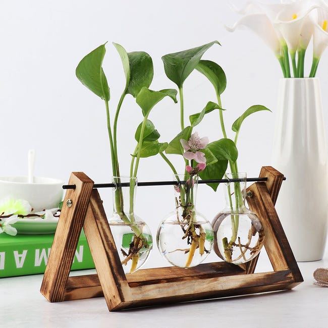 VASO DA TERRARIO Per Piante Idroponico in Vetro Di Piantagione EUR 29 VASO DA TERRARIO Per Piante Idroponico in Vetro Di Piantagione EUR 29