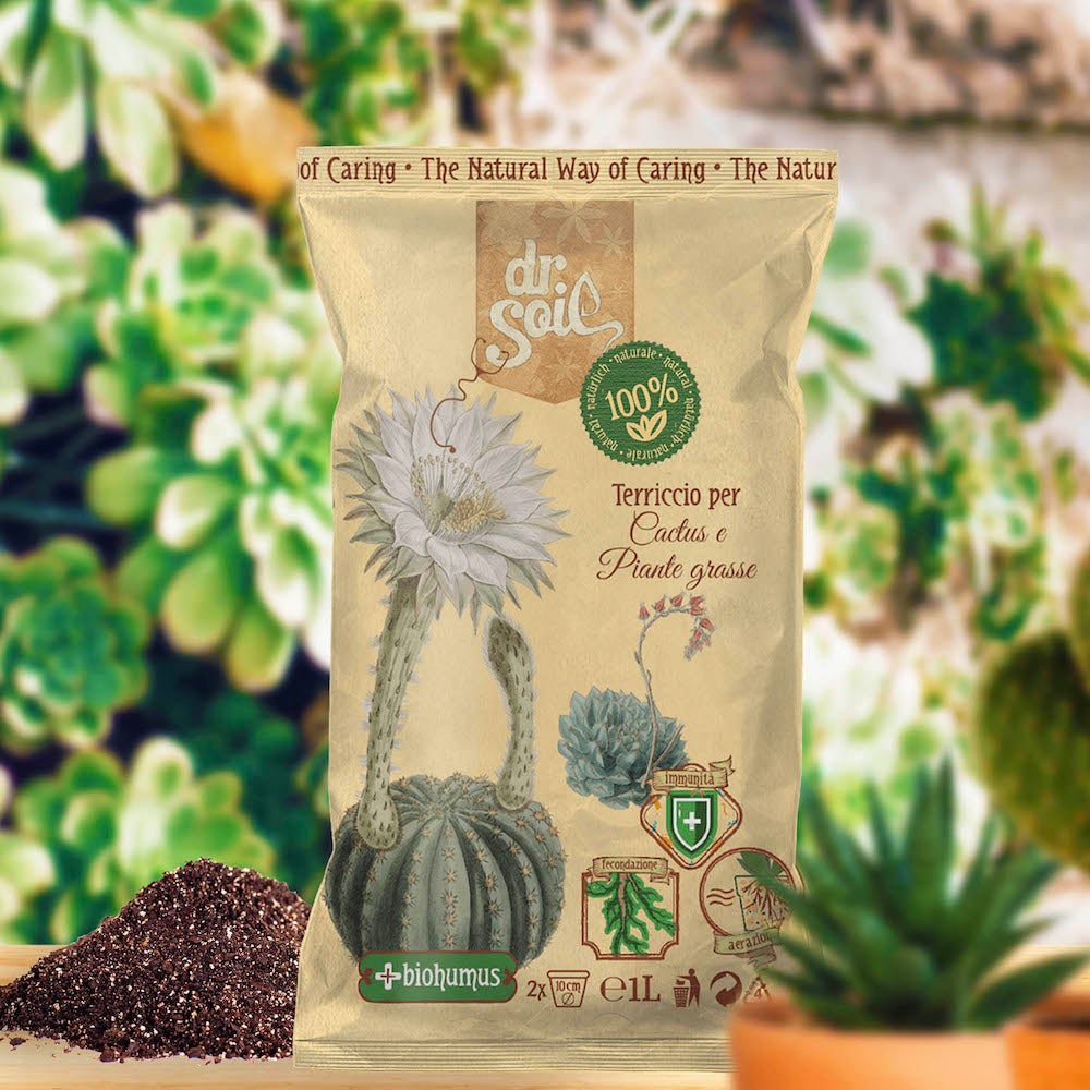 Dr. Soil Terreau pour Cactus et Suculentas 1l - 4