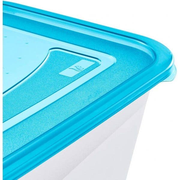 keeeper Contenitore per Alimenti, 4,3 L, 29 x 19 x 12 cm, Fredo Fresh, Blu trasparente - 2