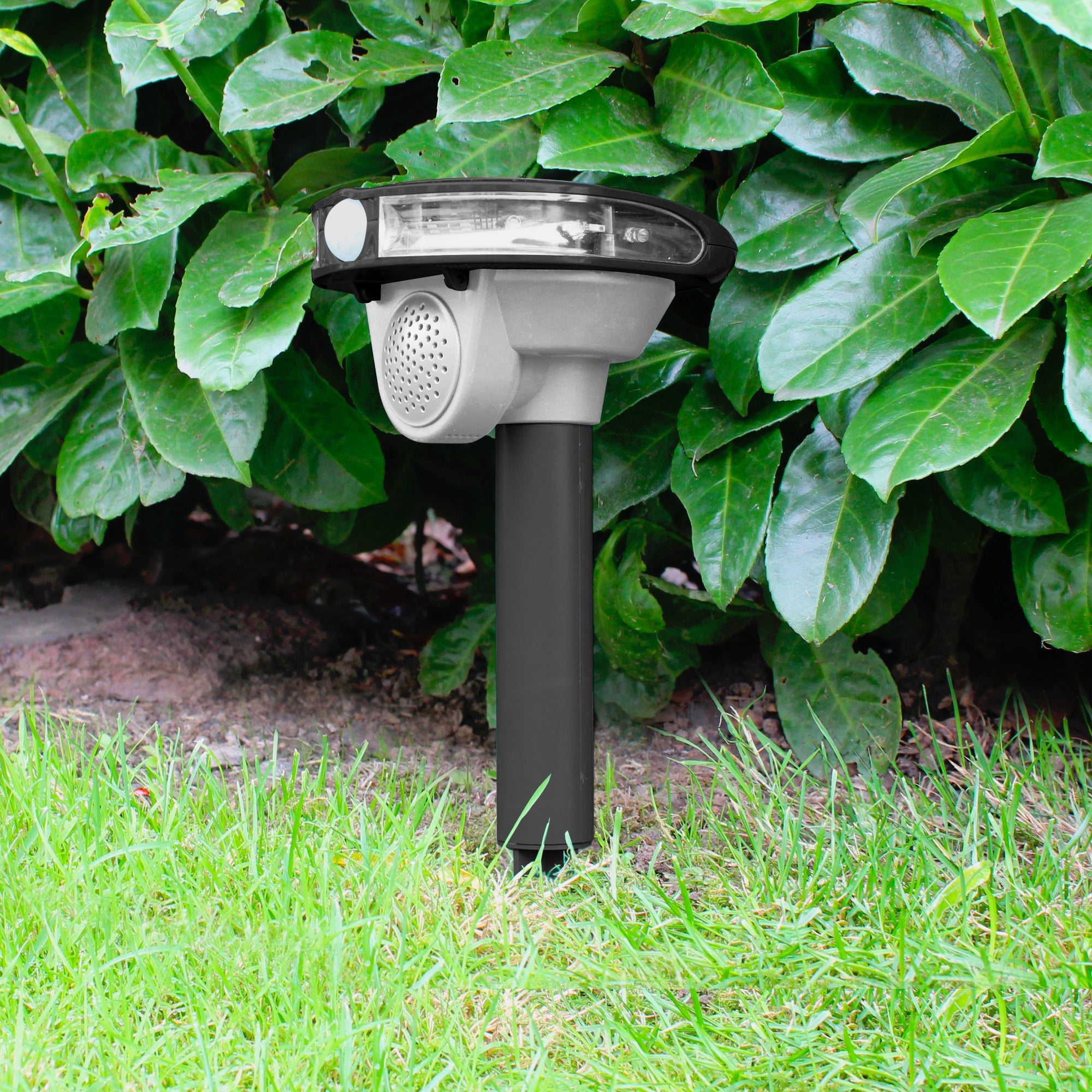 Allarme Solare Repellente Animali - Per Frutteto, Con Suono E Luce, 129 DB