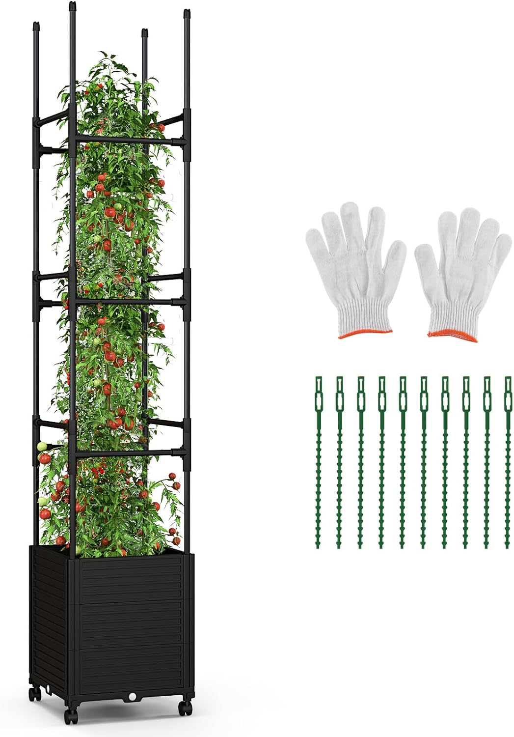 Persona con esperienza addomesticare cercare piante da giardino rampicanti amazo