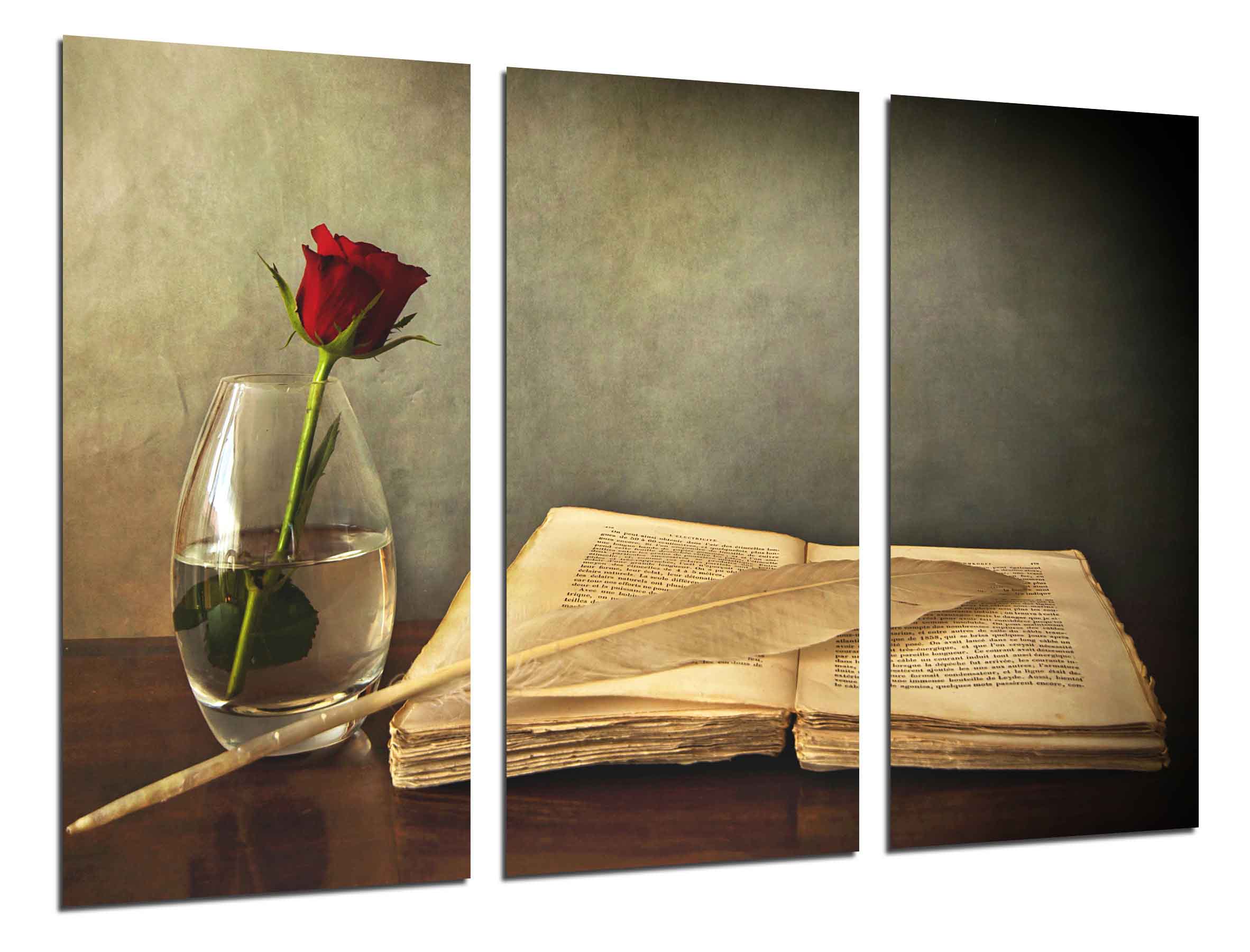 Pluma y libro vintage, antiguo, impresión fotográfica sobre madera, cuadro moderno decorativo